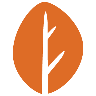 funriseplanet.com favicon